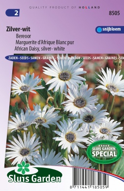 Arctotis grandis Silver-white 0,3g cca 45 semien